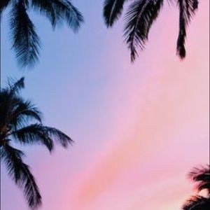 Meet your Posher, Sophia